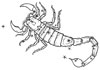 scorpio_the_scorpion.jpg