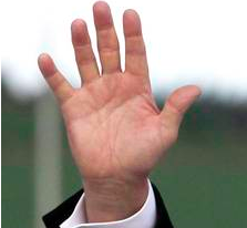 Hillary Clinton's Palm